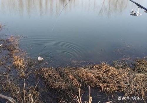 30年野釣高手分享自己野釣鯽魚的絕招，全部做到真的一點不難！