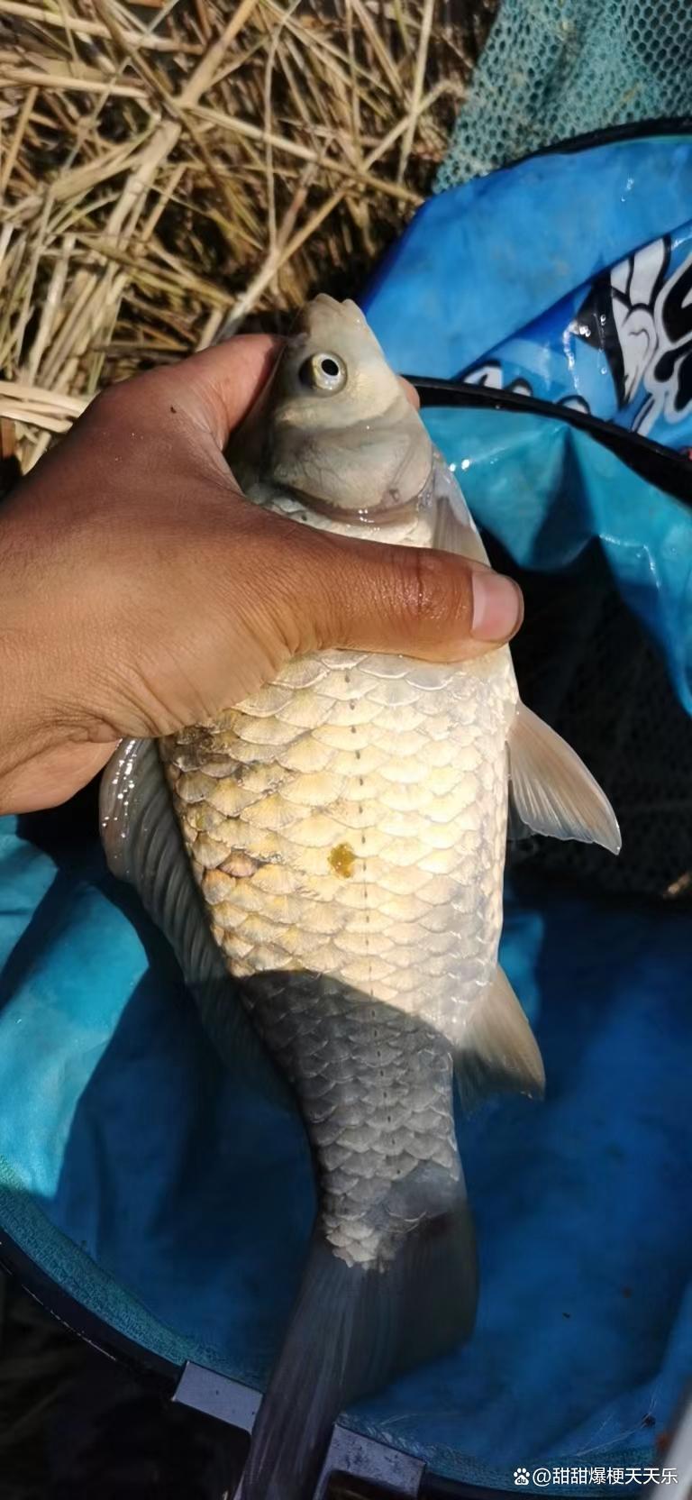 野釣兩個小時無口，還會釣下去嗎？