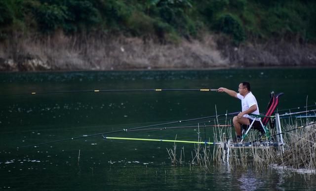 釣鯉魚怎么選浮漂？