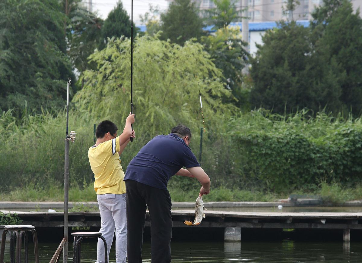 釣草魚的技巧全在這里，掌握后草魚排著隊進窩咬鉤，果斷收藏