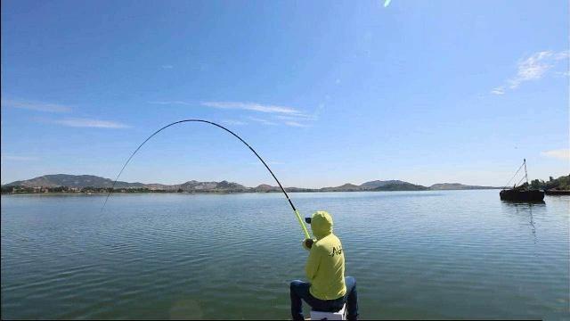 黑坑釣青魚的4大要素，把握好了釣青魚不再難