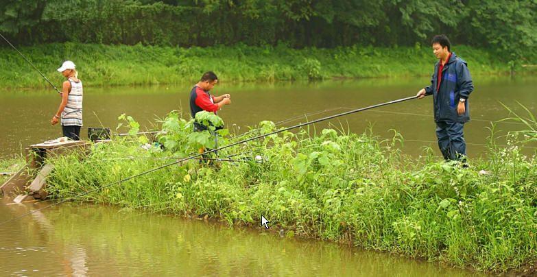 想要釣黑魚，找到這幾個地方，會釣魚就能釣到黑魚