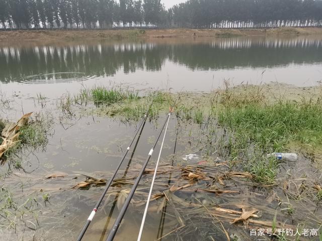 深秋釣魚：選擇釣點，什么的水深“魚才多”，這些技巧不能小覷！
