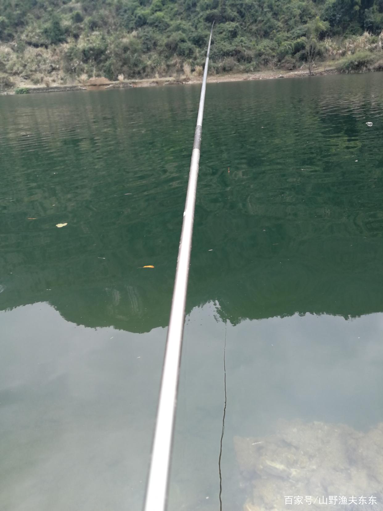 秋末初冬如何釣草魚？掌握這三個要點，漁獲不會太差