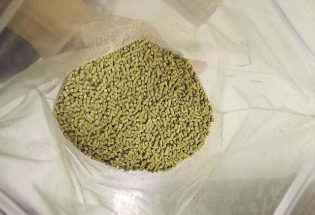 夏季不知如何垂釣青魚草魚，那就看看這篇實戰心得，包你受用