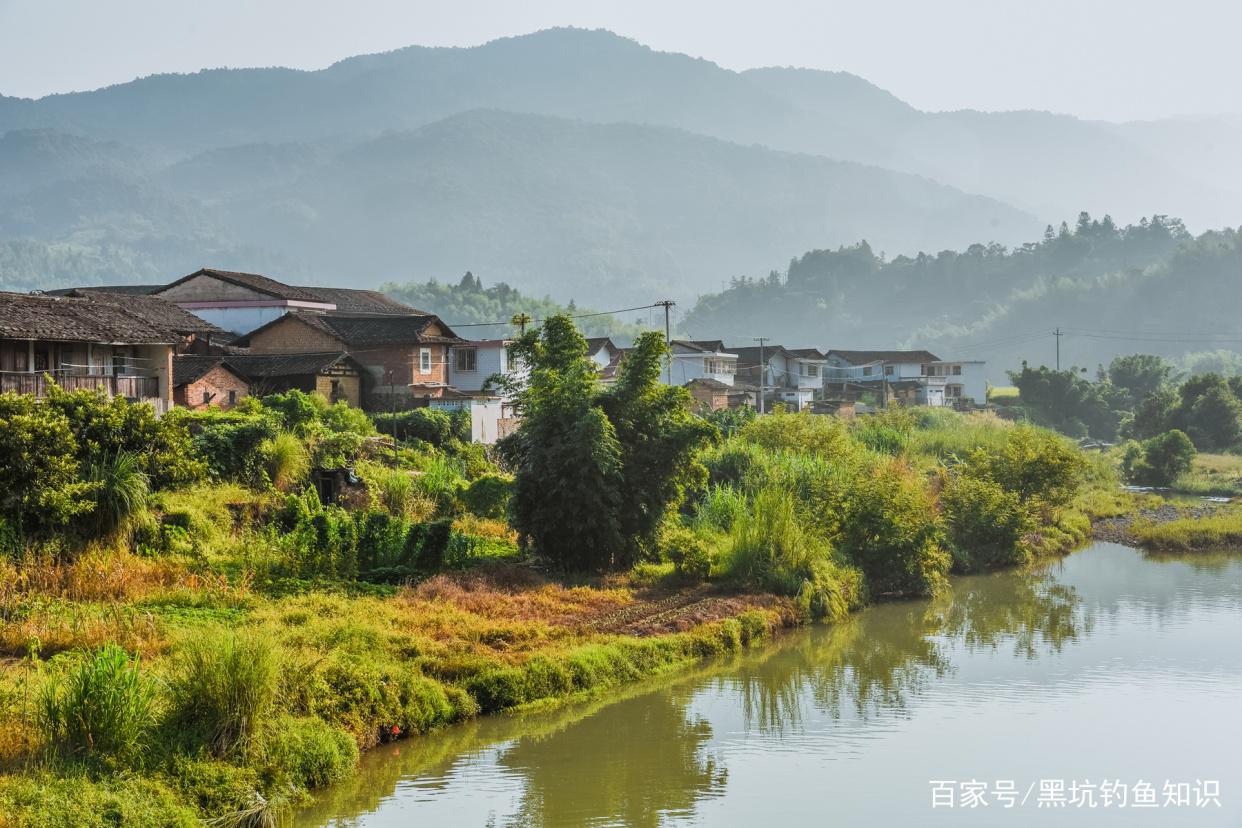 在肥水釣場應該如何使用釣魚小藥？肥水黑坑釣場鯉魚最喜歡的味型