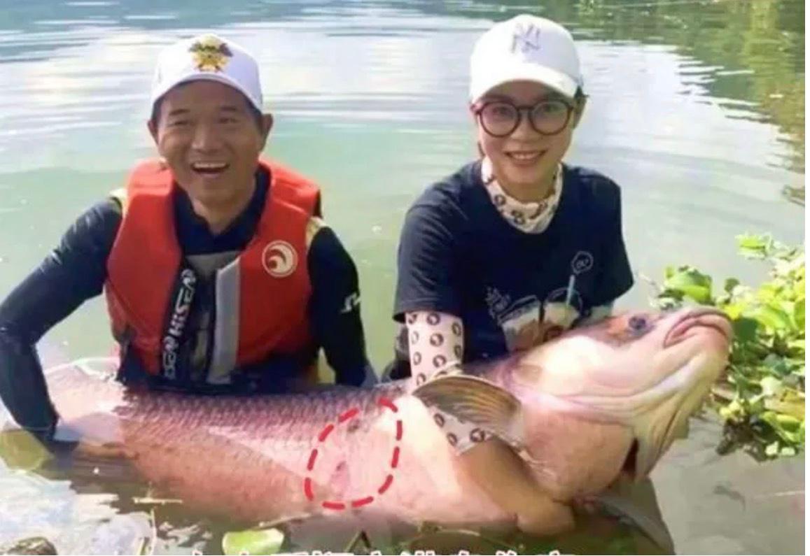 兩條巨青的爭論：釣魚大師在東江三天守兩魚，究竟是做假還是實釣