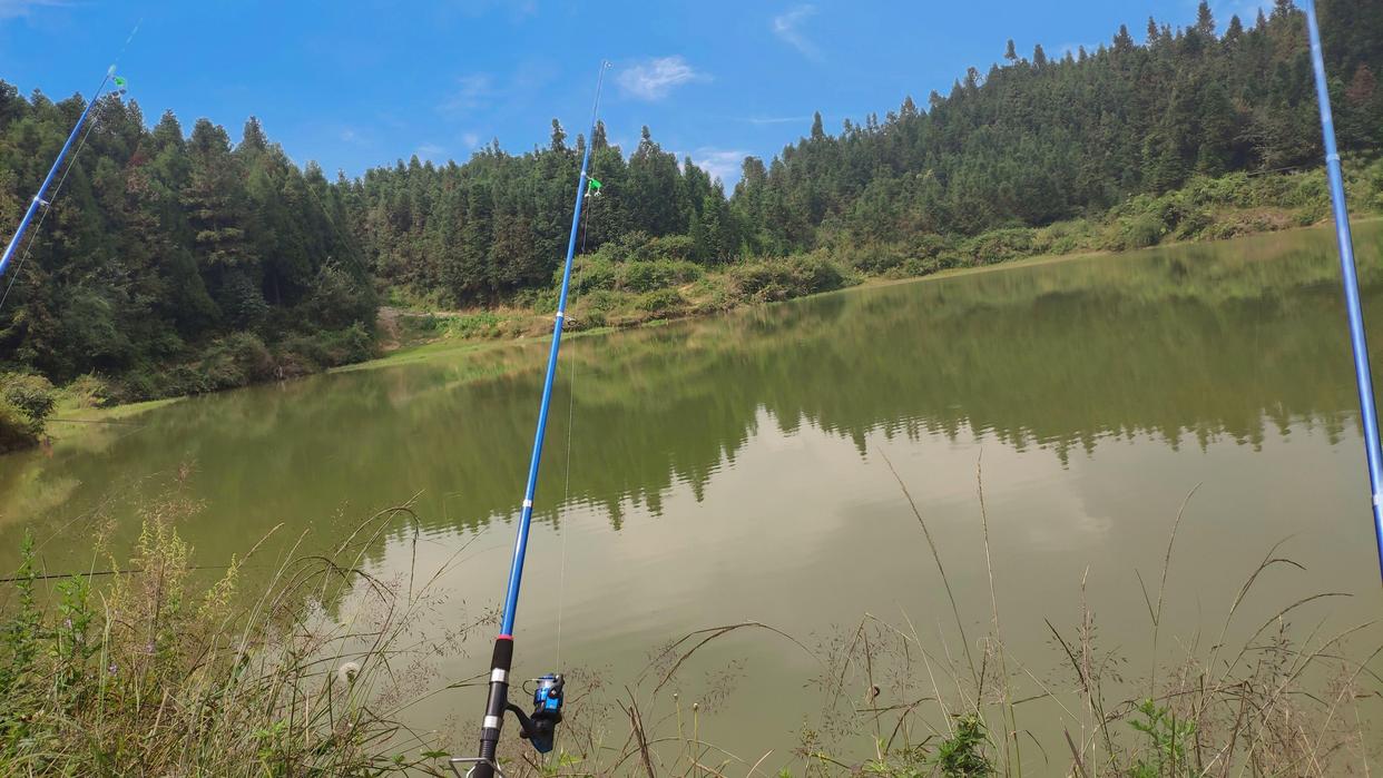 釣魚小技巧，你知道有哪些嗎