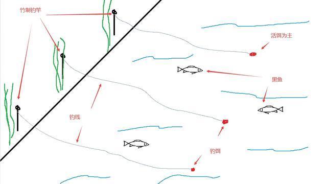 野釣黑魚方法是關鍵，這3種方式常用且有效，愛釣黑魚的你別錯過