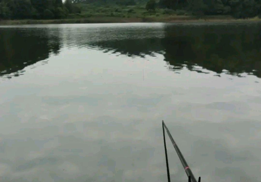 夏季水庫釣青魚，不知道怎么釣？實戰告訴你，哪些問題更重要