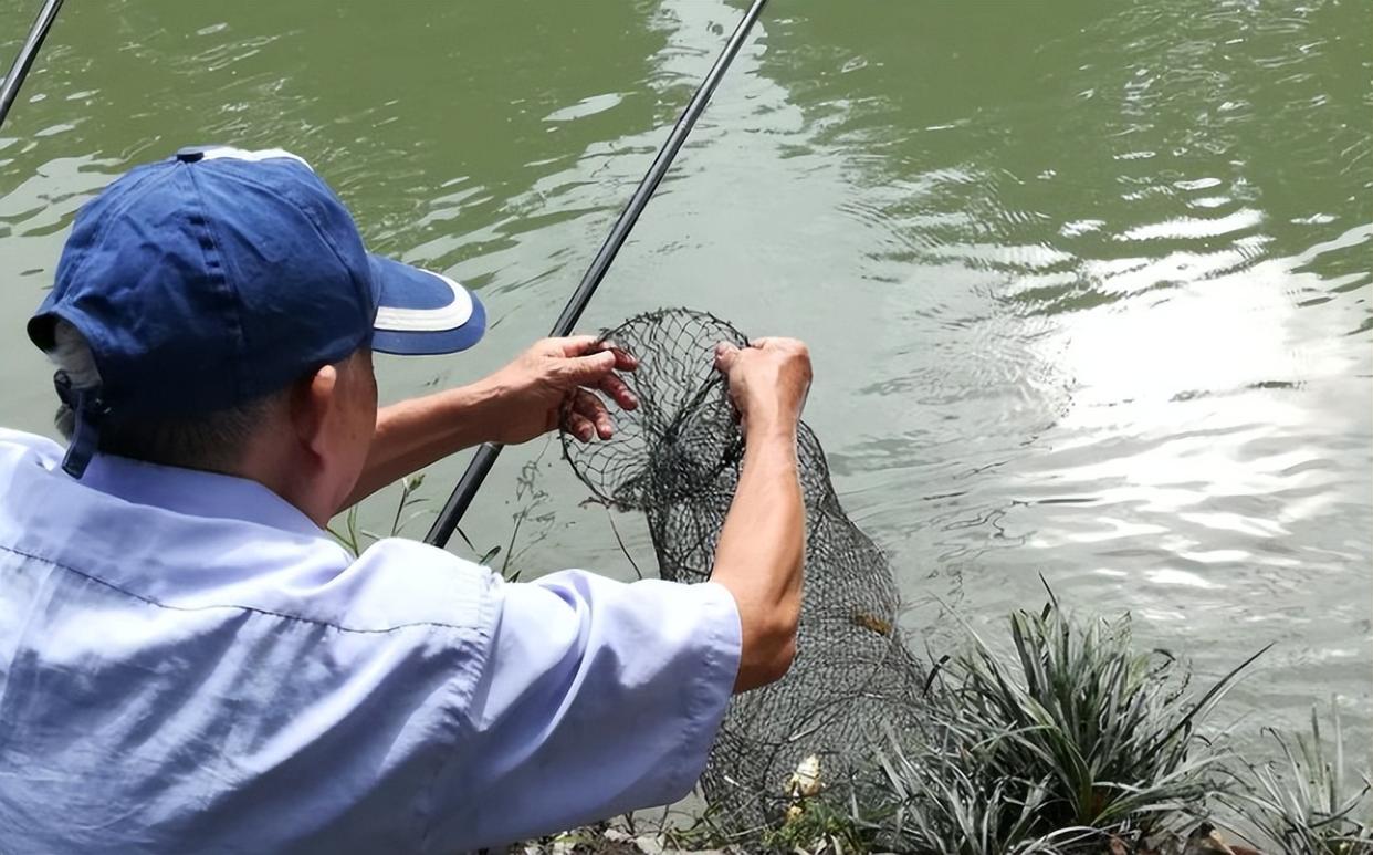秋季野釣草魚，如何用餌、選釣位？