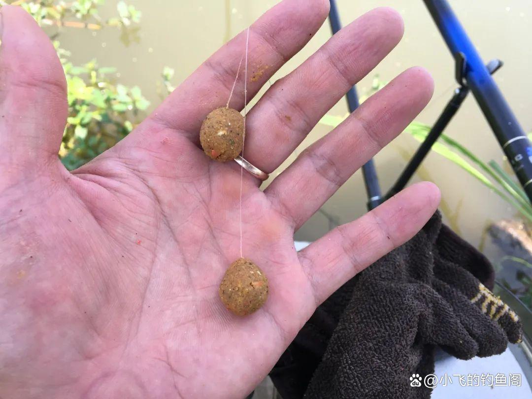 開鯉魚餌的小技巧，按照此方法，咬鉤的都是大家伙，野河屢試不爽