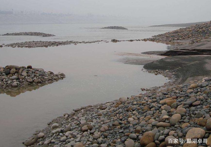 長江路亞釣魚技巧很難學，T尾軟餌全通殺，我能學會嗎？