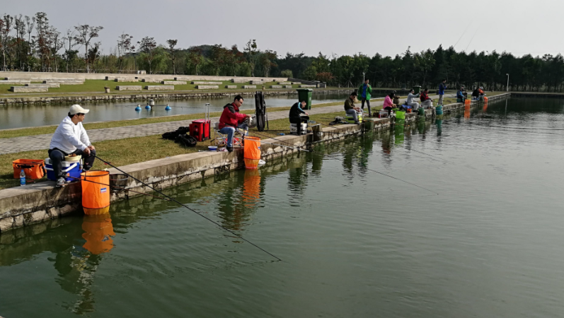 釣魚別只關注魚餌，忽略了釣技