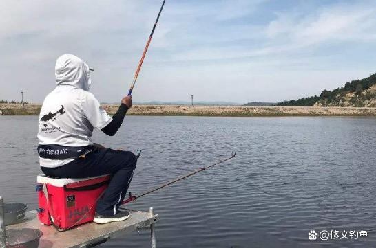臺釣中最常見的釣法有哪些？怎么操作又分別應對什么魚情？
