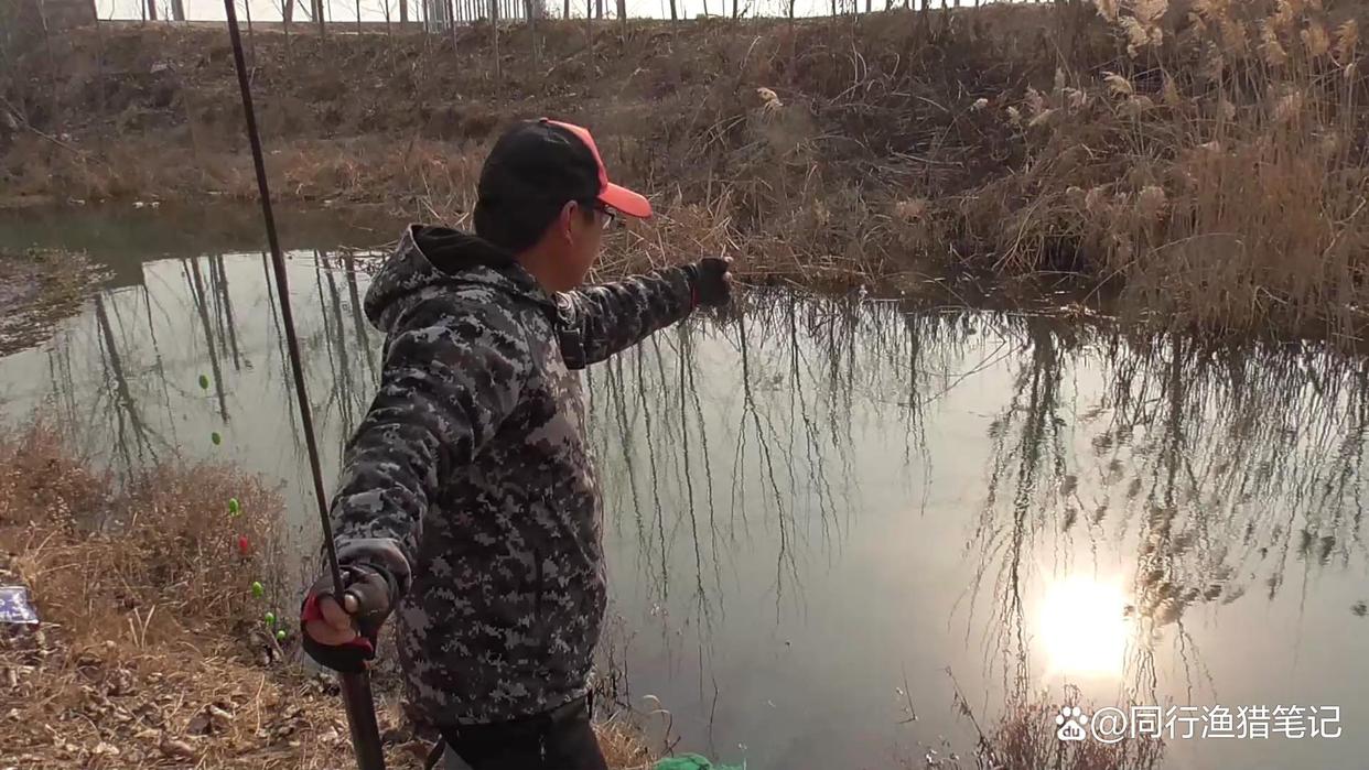 決戰黑坑或者野釣稱王絕招，點上它，誘魚效果拔群