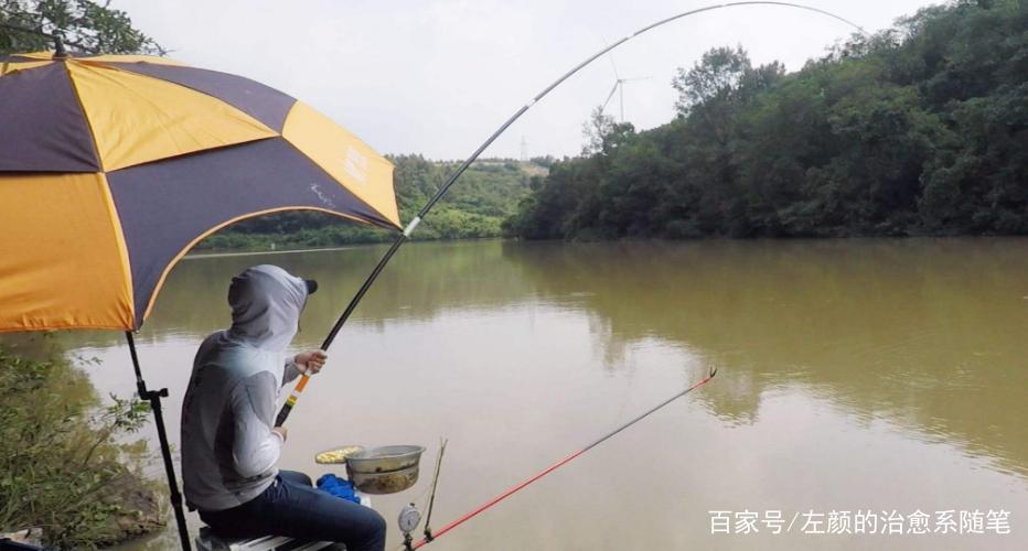 垂釣青魚時的幾點技巧和注意事項，幫你有效增加漁獲！