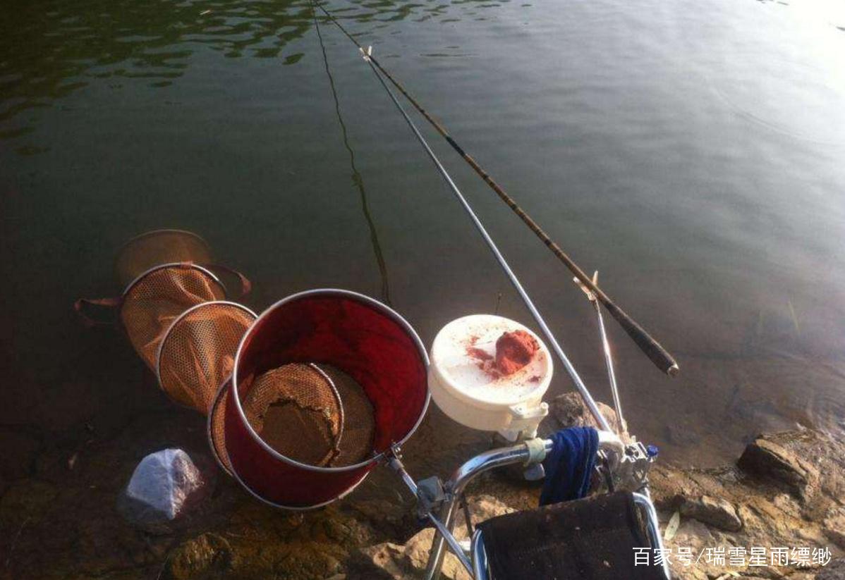 釣羅非要用妙招，這些實戰技巧，能幫你走上釣魚巔峰
