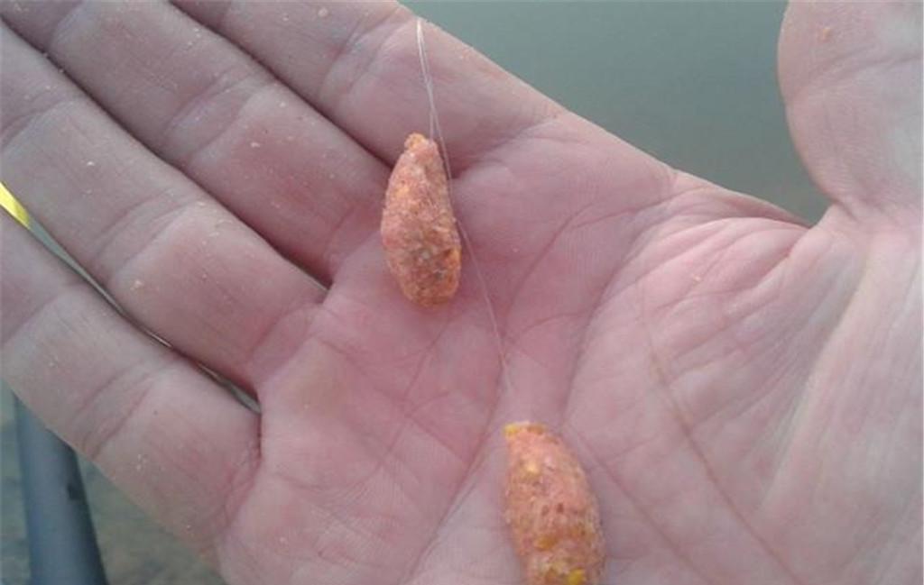釣魚選對餌料是關鍵，教你3招選對餌料，不再白白的花冤枉錢