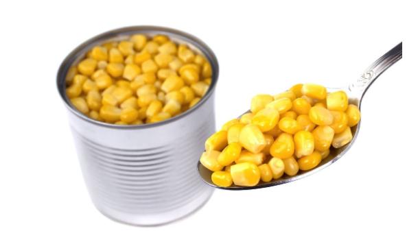 釣草魚，究竟是用嫩玉米好還是用老玉米釣效果好？