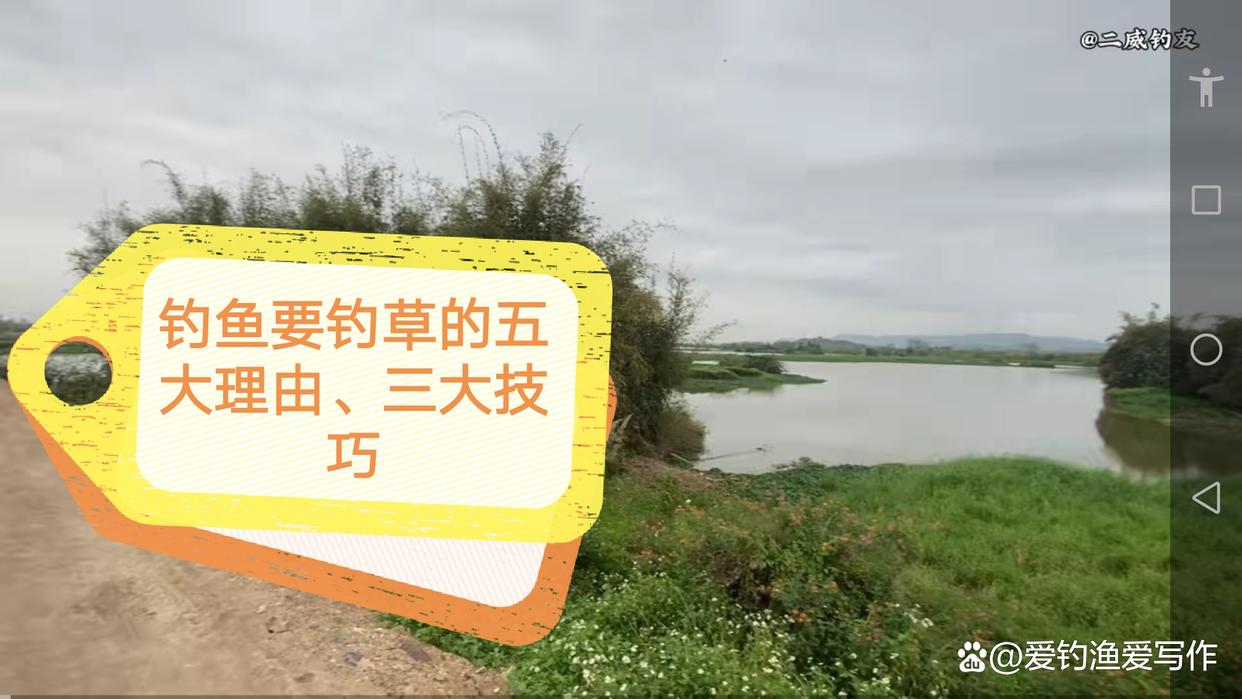 釣魚要釣草的五大理由、三大技巧