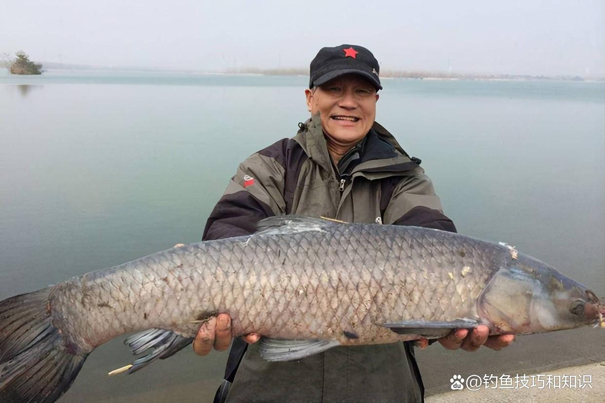 冬天怎樣釣青魚？關鍵是尋找魚窩、魚餌味型和打窩技巧