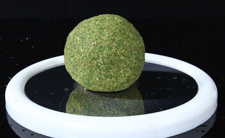 為了釣好草魚，到處問釣法，找“秘方”，殊不知最簡單的在身邊
