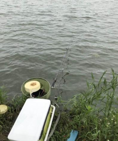 桃花流水鯽魚肥，春季釣鯽魚，學會這3個釣法，連桿到手軟