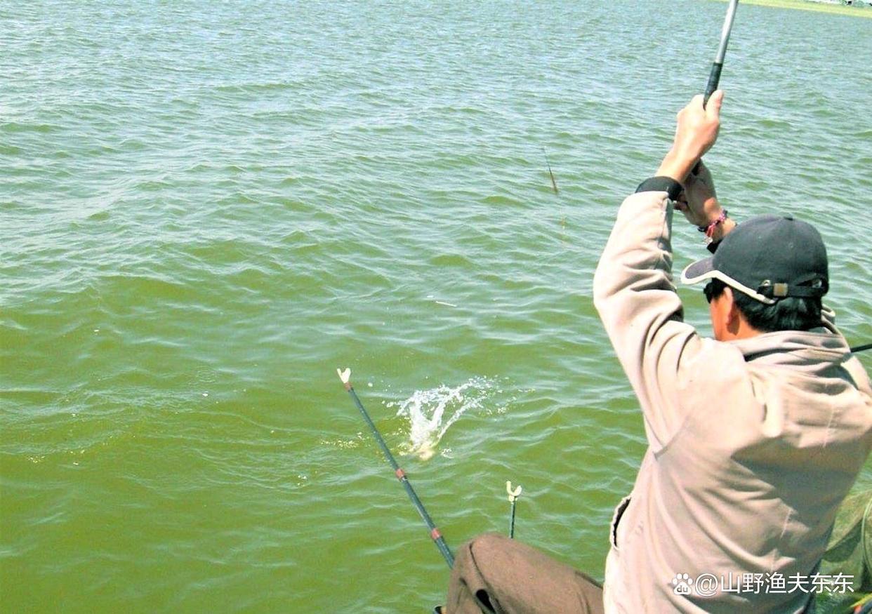 立冬后野釣，釣點應該選這些，都是魚兒扎堆的地方