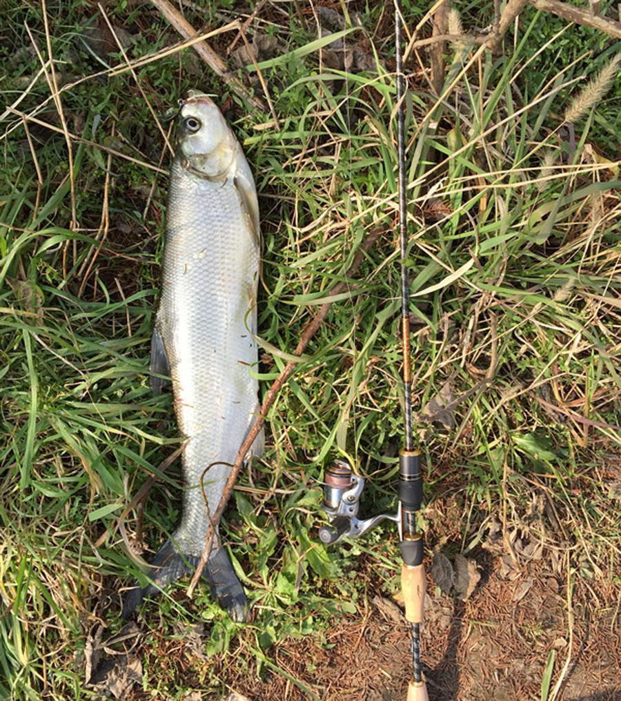 如何路亞翹嘴魚？從“三個選對”告訴你答案，不再一頭霧水