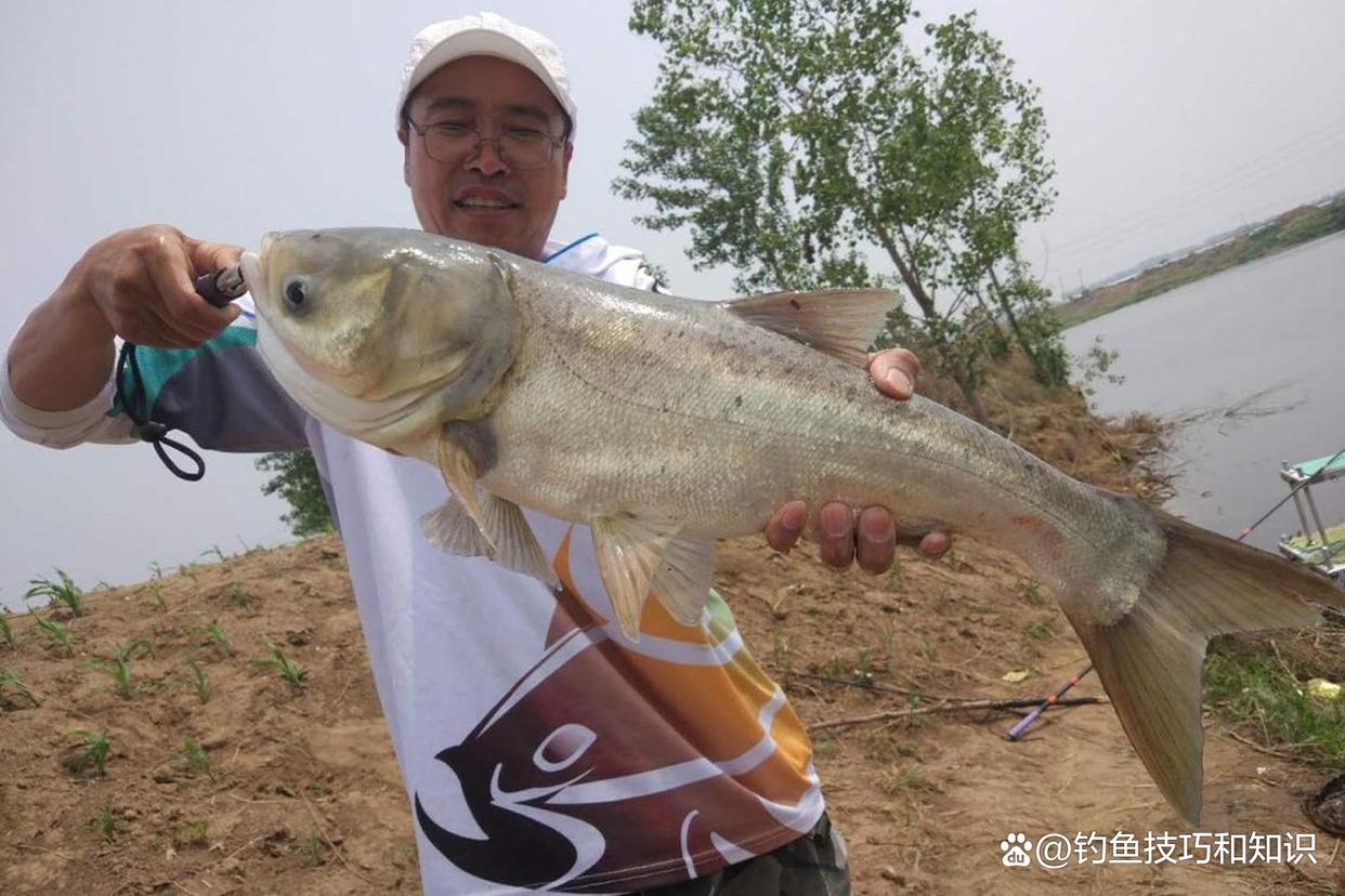 深秋釣鰱鳙的4個要點，南方和北方有顯著的區別