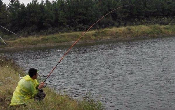 野釣鯉魚沒有秘訣，掌握這幾個技巧，新手也能有收獲