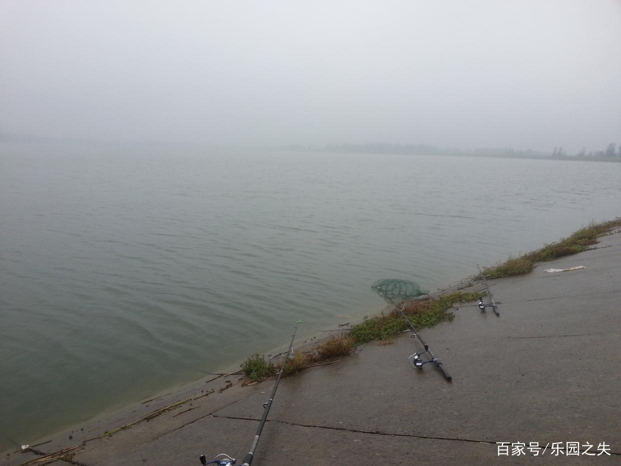 海竿、磯竿、岸筏、路亞竿的用途和區別是什么？一文秒懂