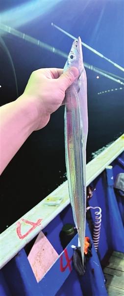 渤海灣成休閑旅游新去處 津城市民迷上“海釣”