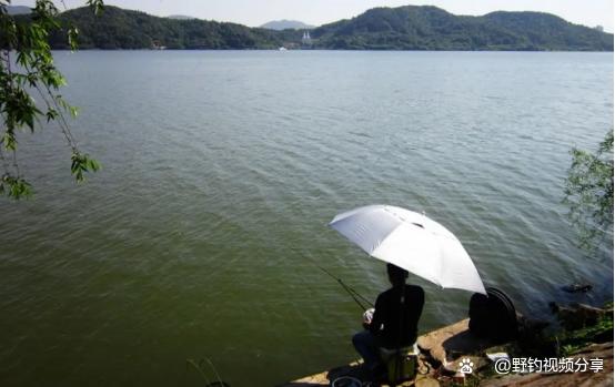夏季釣魚，若想爆護，“四字真言”要牢記，下竿就上魚，魚獲翻倍