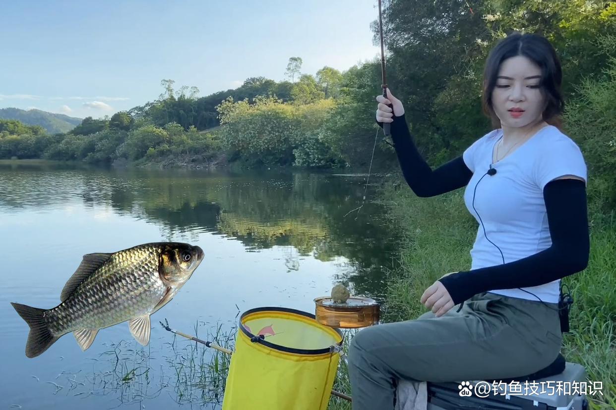 野釣鯽魚時如何讓魚饑餓搶食？促進野生鯽魚開口的4個方法