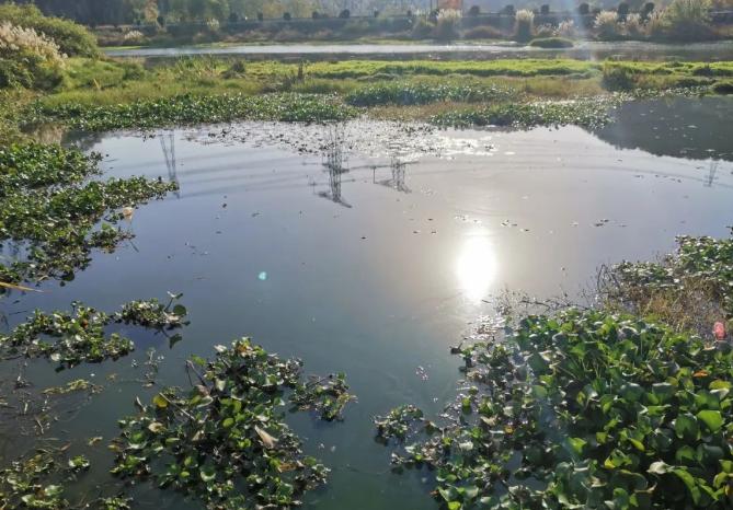 要想連中大黑魚，掌握住幾個重要“技巧”，黑魚越釣越多