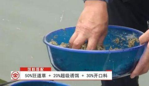 春季野釣草魚、鯽魚的餌料配餌公式