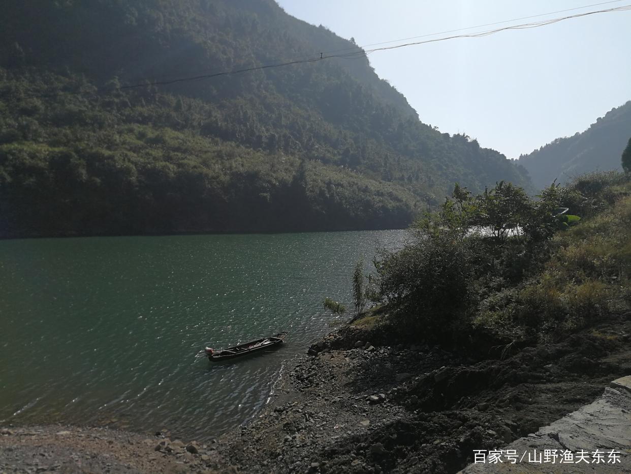 盛夏高溫天氣羅非魚的垂釣方法，掌握這些要點，對你有幫助