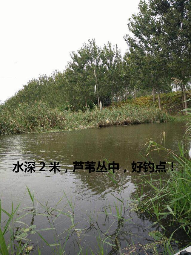 5張野釣實拍圖告訴你：哪里才是釣魚人孜孜以求魚又多的好釣點！