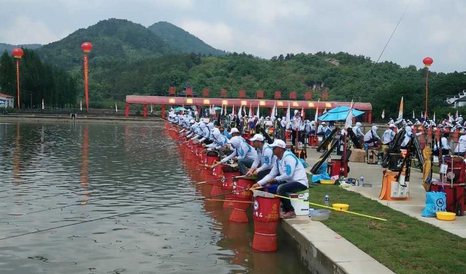 想要多釣草魚，要分清什么時候釣底，什么時候釣浮