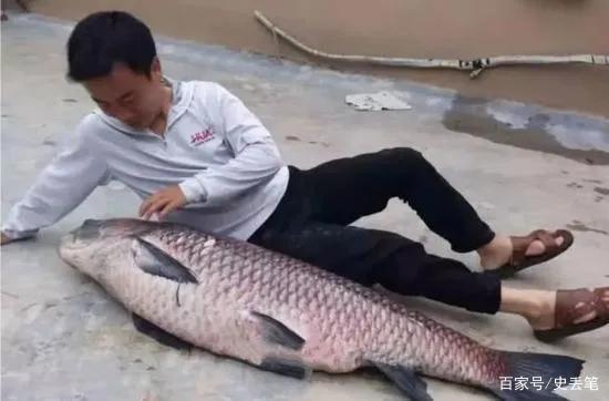 2011年他在水庫釣到一條78斤的青魚，結果2天后賣出3000元