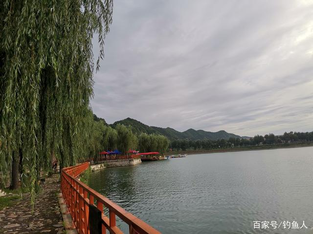 草魚這個釣法最近火了，簡單易上手，新手一學就會