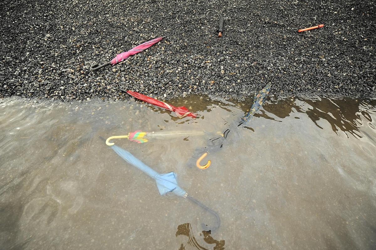 《大草魚釣魚攻略：五種餌料讓你輕松抓到大草魚》