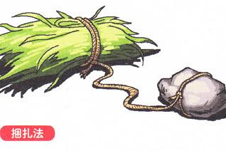 釣草魚最有效的方法，只要知道這個細節，你就是大師！