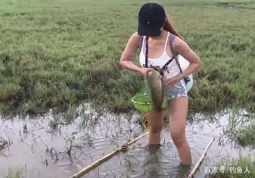 黑魚這么釣爽死了，多虧用了這4招，一天不到魚獲就比上次多幾倍