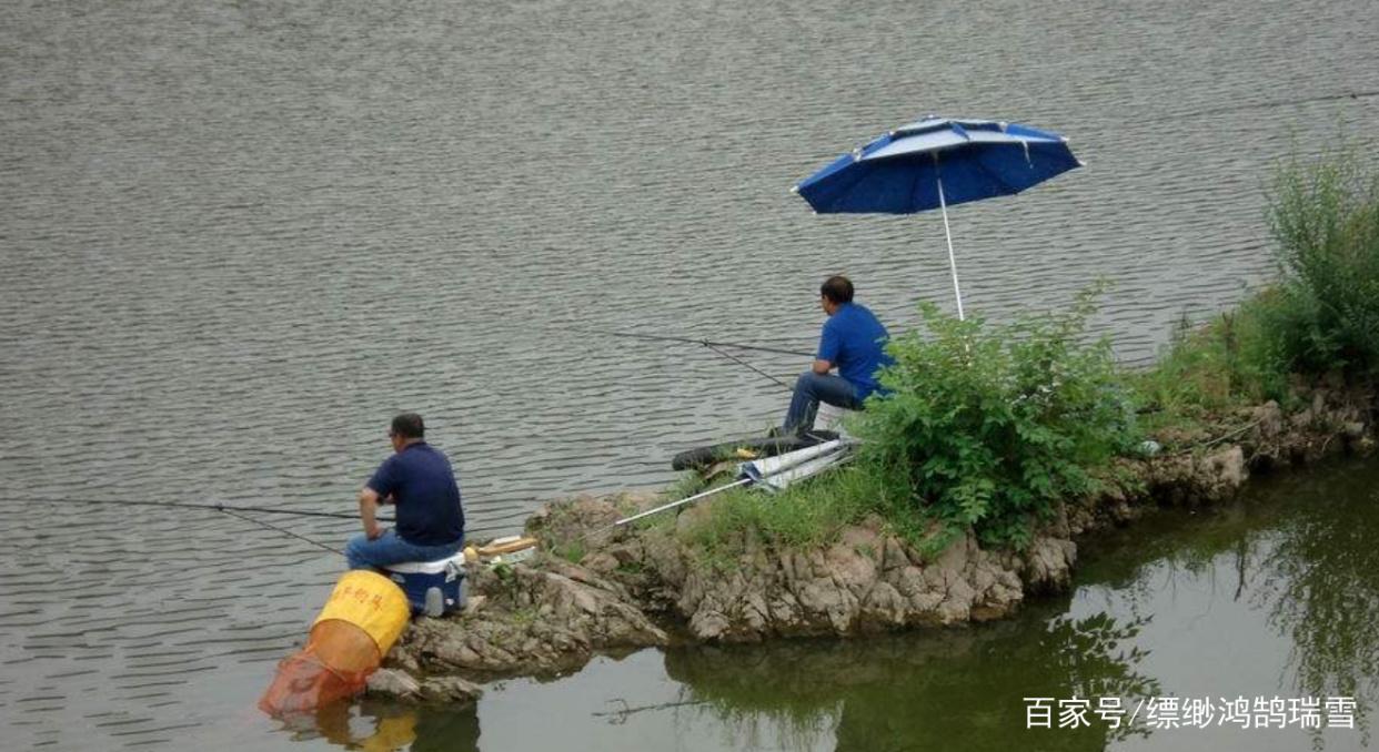 青魚不好釣？那是你沒有掌握這些方法技巧，學會了都能釣到