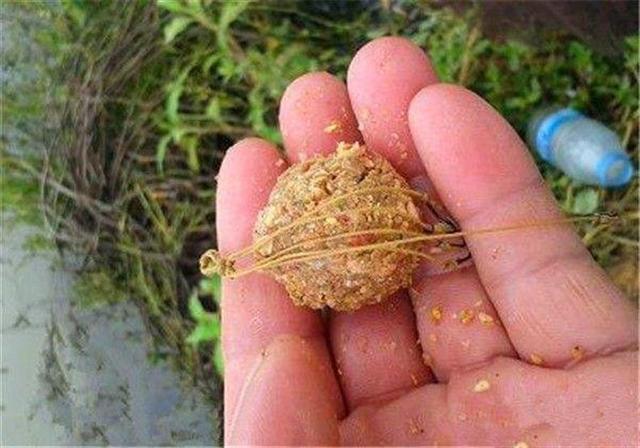 釣魚這些年，根據自己的經驗總結，分享幾種自制釣餌