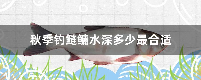 秋季釣鰱鳙水深多少最合適