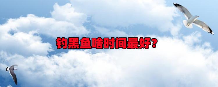 黑魚習性，釣黑魚啥時間最好？